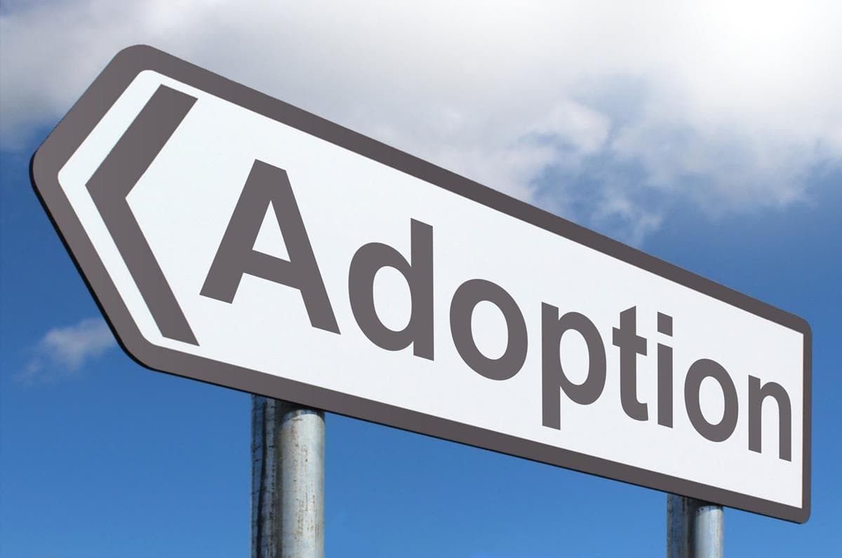 Adoption Process in Lagos State, Nigeria